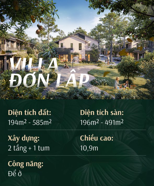 Villa Đơn Lập 2